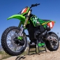 Preview: LOS06002 1/4 Promoto-MX Motorrad RTR Pro Circuit